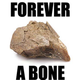 Illustration for article titled No news is good news about ThinkGeek fossil sales?
